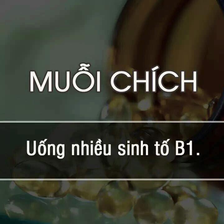 dinhduonghoc.com - meo hay