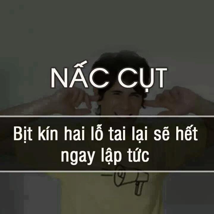 dinhduonghoc.com - meo hay