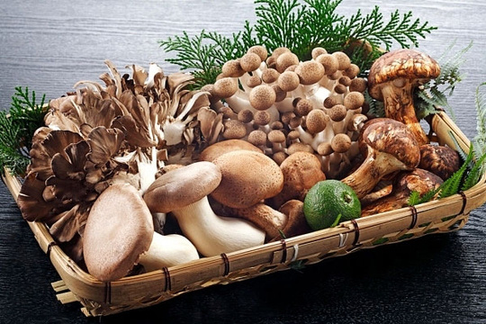 dinhduonghoc.com - 7 siêu thực phẩm giúp ngăn ngừa phòng chống ung thư tuyến tụy