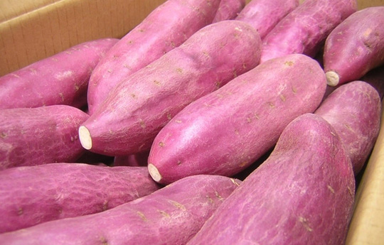 dinhduonghoc.com - 7 siêu thực phẩm giúp ngăn ngừa phòng chống ung thư tuyến tụy