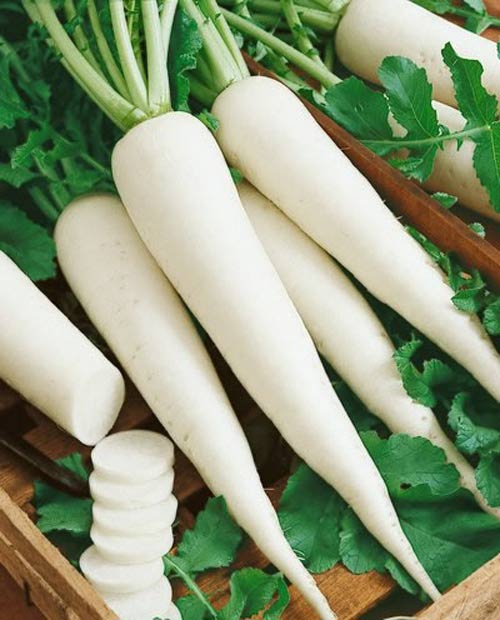 dinhduonghoc.com - Cho con dùng 10 thực phẩm này, bố mẹ thấp đến mấy con cũng có thể cao