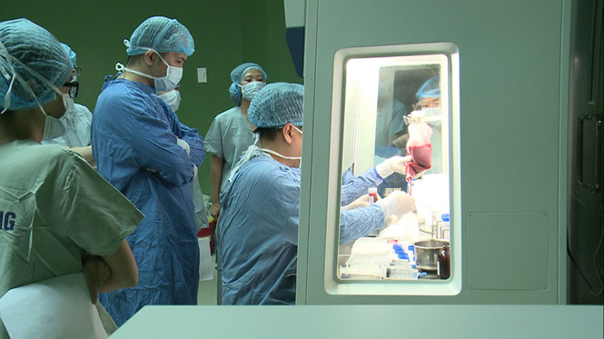 dinhduonghoc.com - Điều trị chấn thương tủy sống bằng cấy ghép tế bào gốc