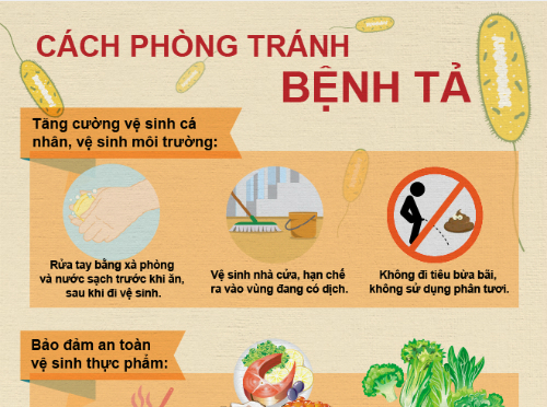 dinhduonghoc.com - Bệnh dịch tả là gì? Các biện pháp phòng chống và điều trị?