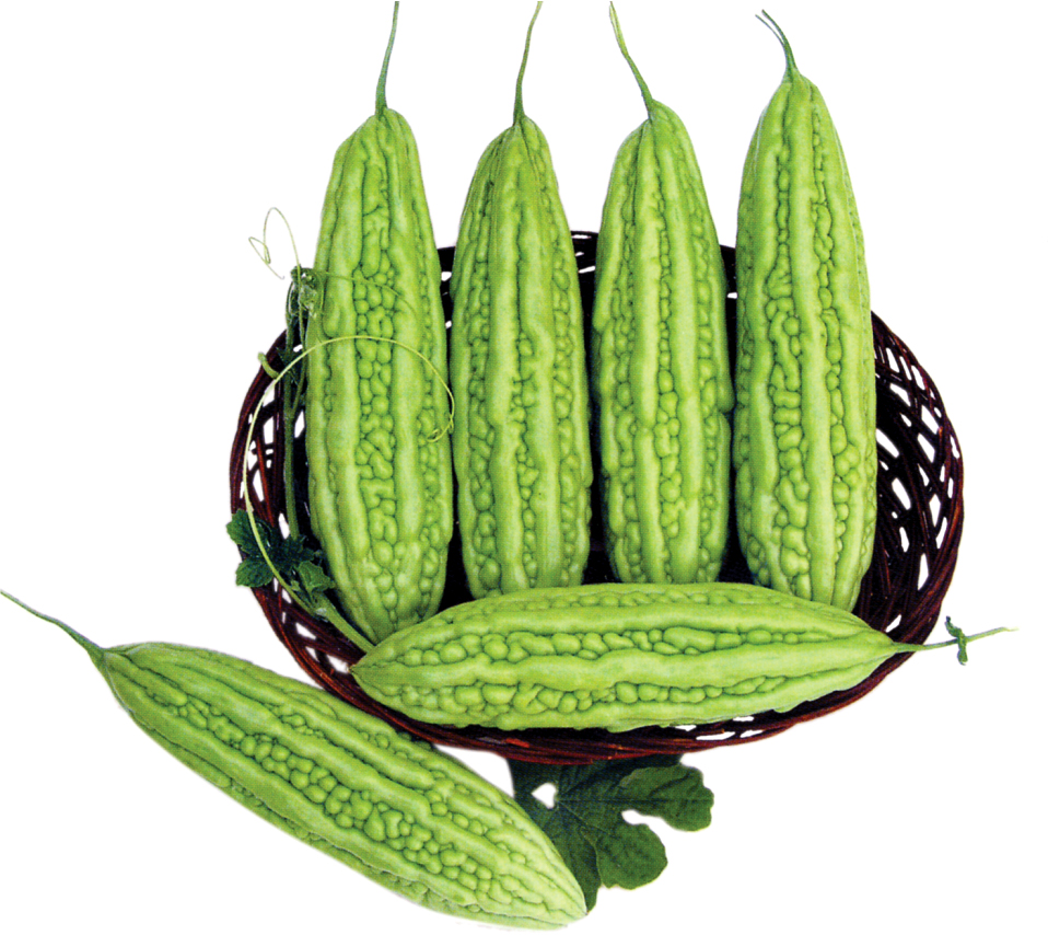 dinhduonghoc.com - Trị ung thư tuyến tụy bằng khổ qua