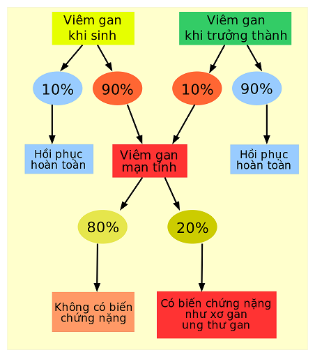 dinhduonghoc.com - Viêm gan virut mạn tính? 