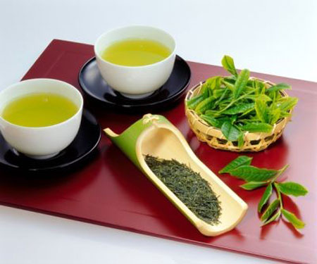 dinhduonghoc.com - phong ngua benh xuat huyet nao