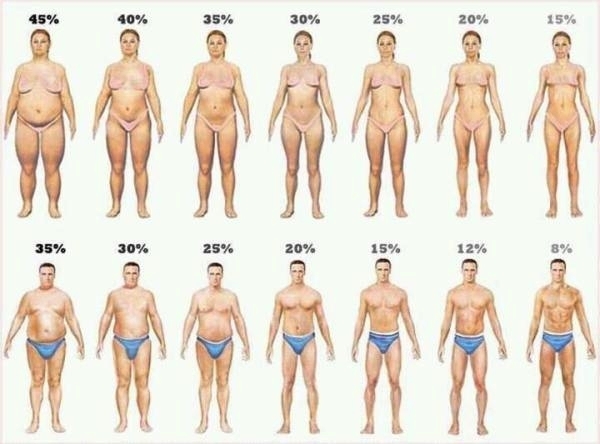 dinhduonghoc.com - nguyên nhân khi bước qua tuổi 30 sẽ bị mất dáng