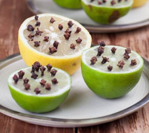 dinhduonghoc.com - công dụng tuyệt vời của chanh