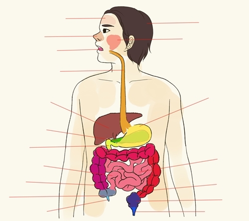 dinhduonghoc.com - cạo lưỡi