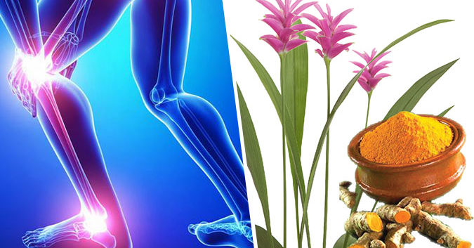 dinhduonghoc.com - điều trị viêm khớp hiệu quả